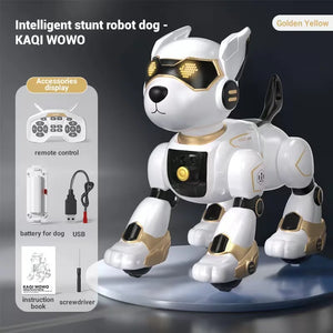 gold dog