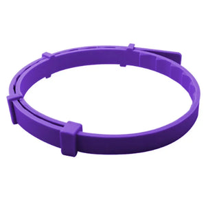 Purple in opp bag