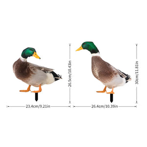 2pcsAB