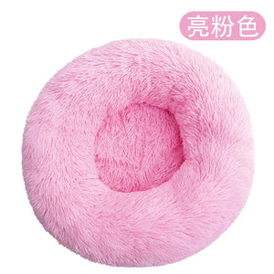 Bright Pink