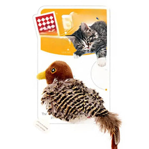 bird B