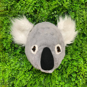 Coala