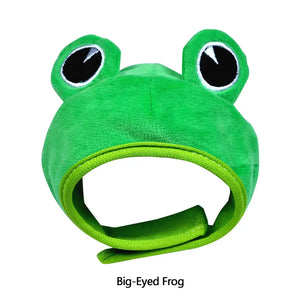 Big-Eyed Frog