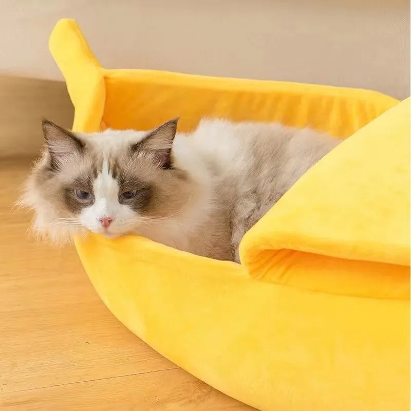 S557d4feaccb24aadba824c08d19a8057X