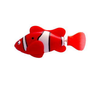 Fish M