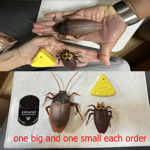 two cockroach