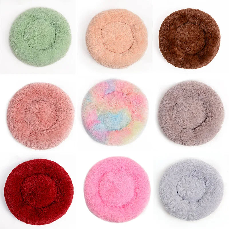 S56a37035659446a89d3ae5f8cadb0ef4A