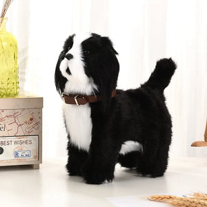 Sheepdog