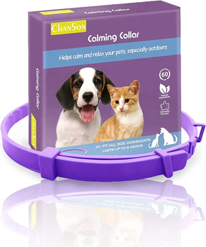 Cat2-38cm