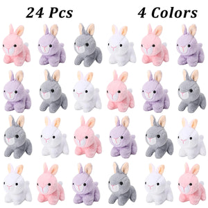 24 PCS
