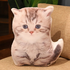 small cat
