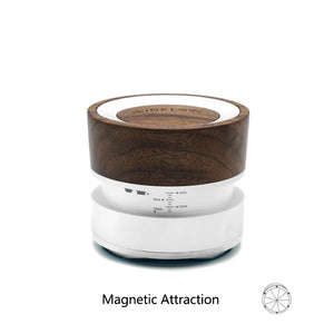 Magnetic Silver