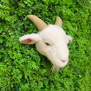 Goat 2