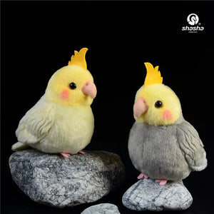 2 birds-1