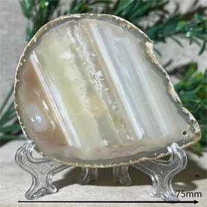 45g-2