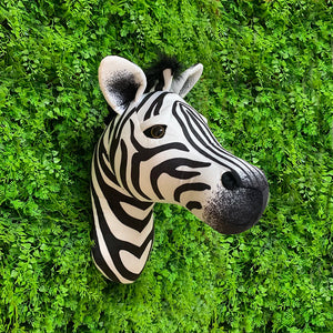 Zebra 2