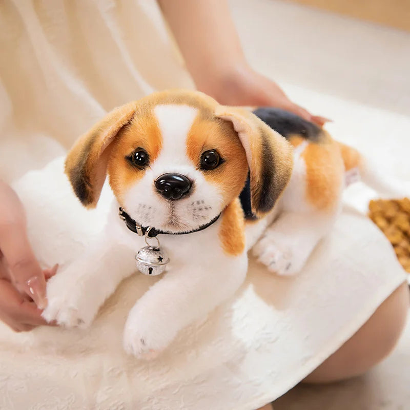 S662abe02bcd6403792bdae1b82706e9cR