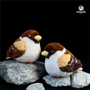 2 birds