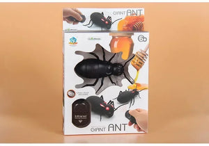 Ant