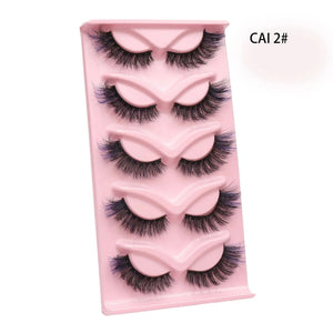 5Pairs-CAI-2