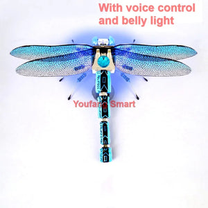 Voice and light