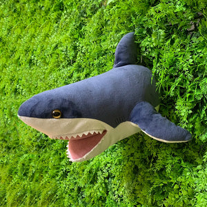Shark 2