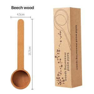 Beech Wood-1