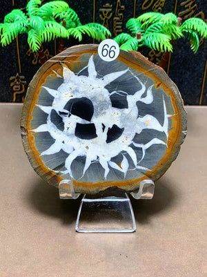 196g      77mm
