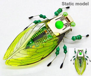 Cicada static