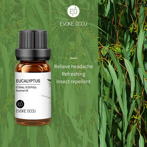 Eucalyptus