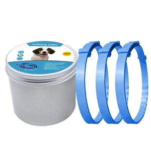 3pc-Dog-blue-62cm