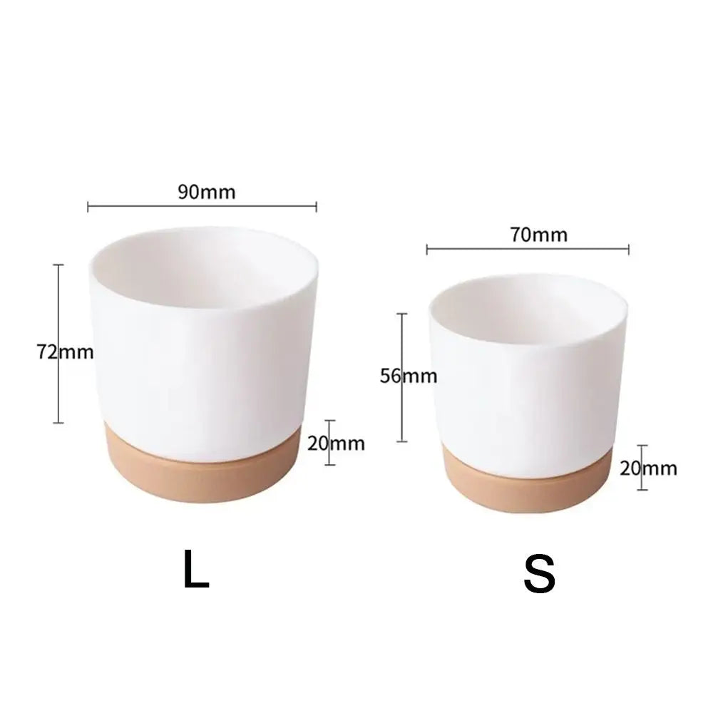 S753d0bdc9e1d4f69a104a399172acc07I