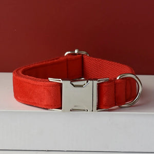 Dog Collar