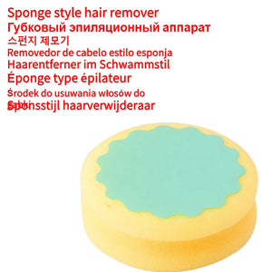 Sponge hair remover