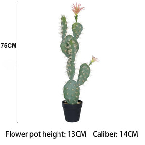 75CM