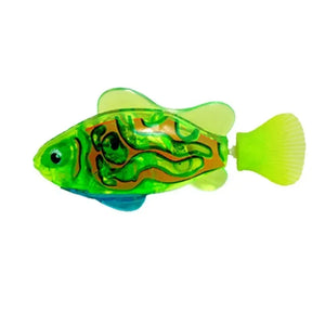Fish A