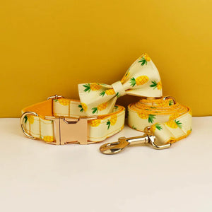 Bow Collar Leash01