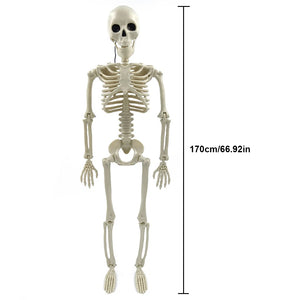 170cm White