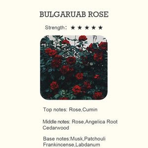 BULGARUAB ROSE