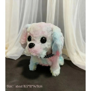 Rainbow Dog