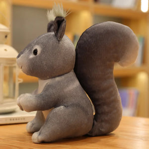Grey squirrel