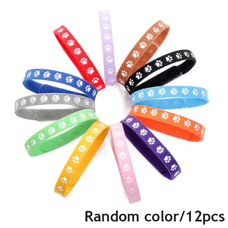 S804d6c8d54894fb09d6dd648faeb616fA