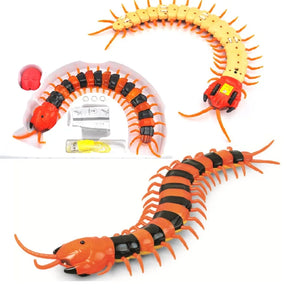 centipede 1