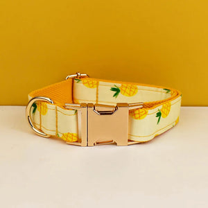 Dog collar01