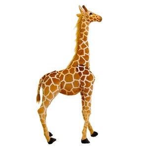 100CM