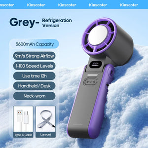 Grey ICE