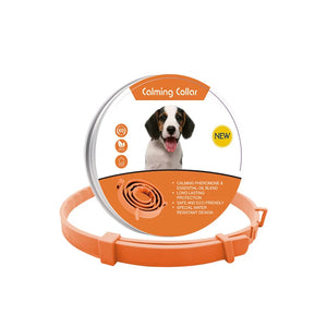 Dog-orange-62cm
