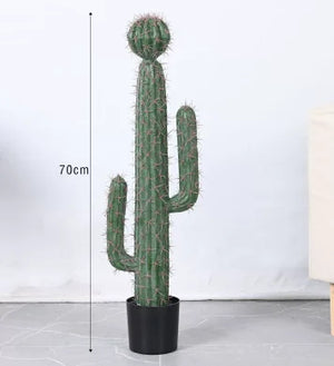 70CM