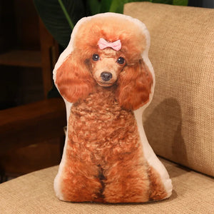 teddy