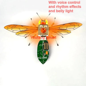 Voice Rhythm Light